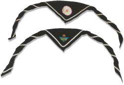 In 1995 wordt overgestapt op een nieuw dasteken.