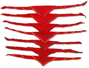 De kampdassen van de Glimwormpjeskring