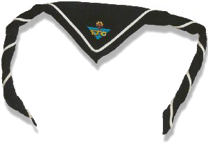 De groepsdas vanaf de jaren Â¯80