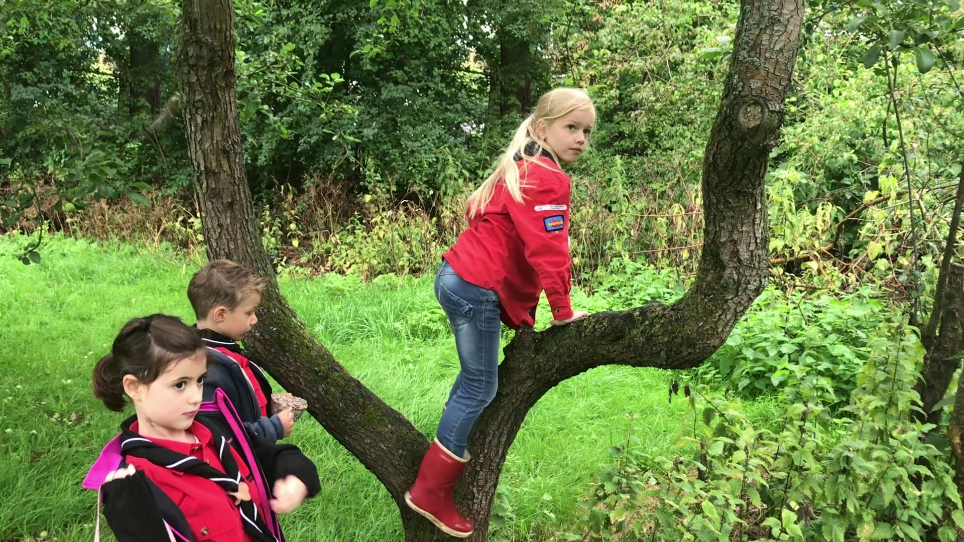 Lekker Buiten Bezig zijn, bij de Scouting Tono-groep kan dat.